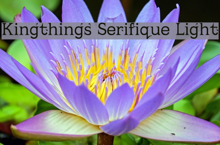 Kingthings Serifique Light Example 3