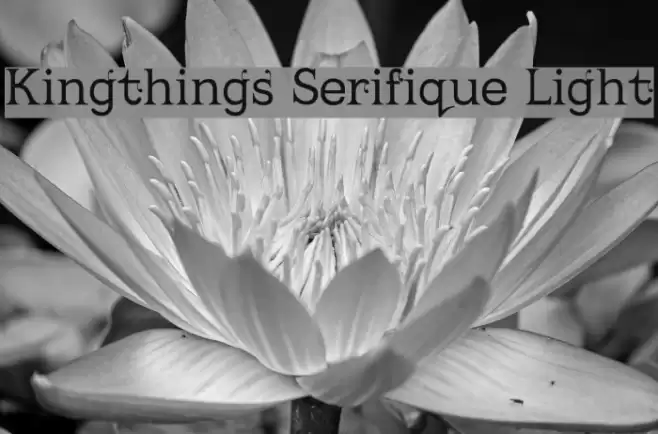 Kingthings Serifique Light Font examples