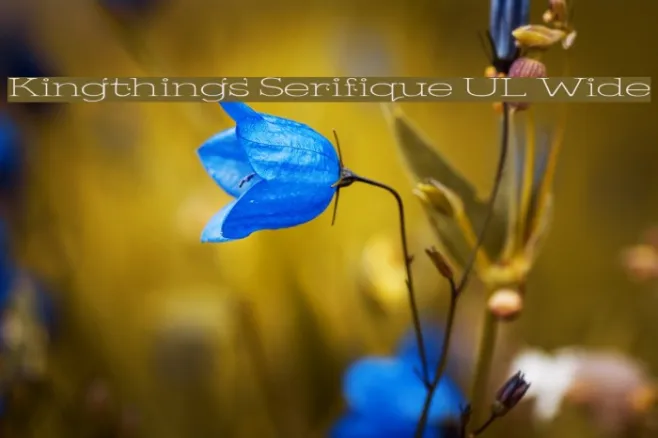 Kingthings Serifique UL Wide Example 2