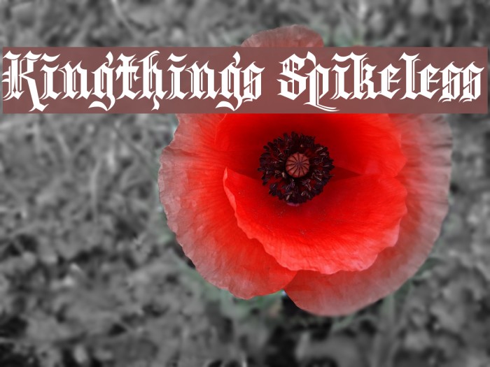 Kingthings Spikeless Font examples
