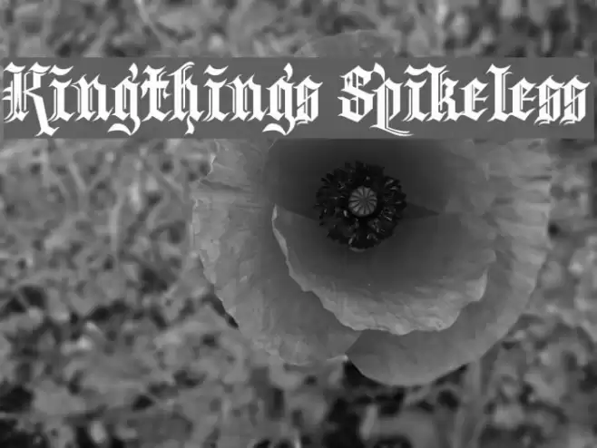 Kingthings Spikeless Fonte examples
