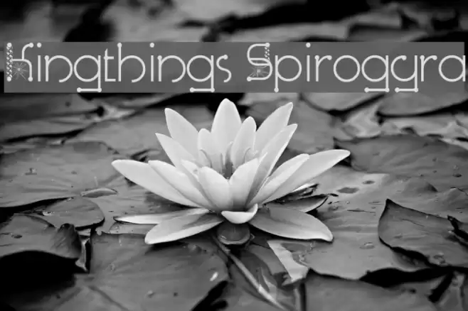 Kingthings Spirogyra Font examples