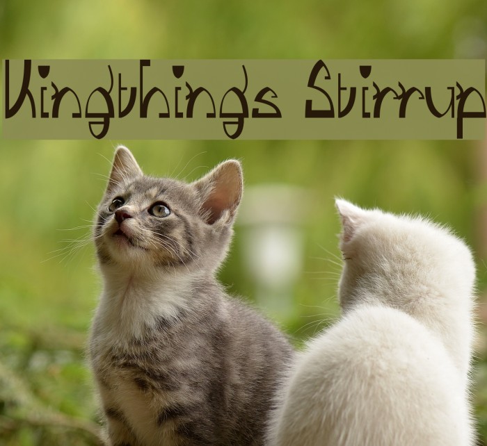 Kingthings Stirrup Font examples