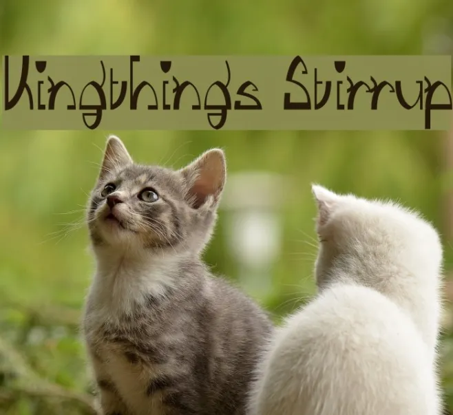 Kingthings Stirrup Example 1