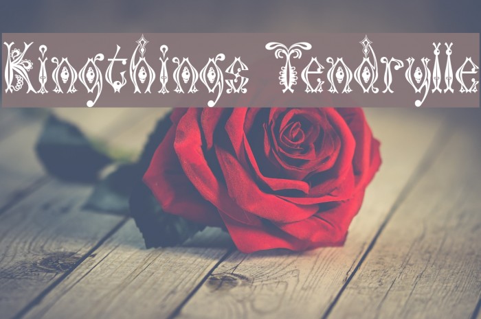 Kingthings Tendrylle Font examples
