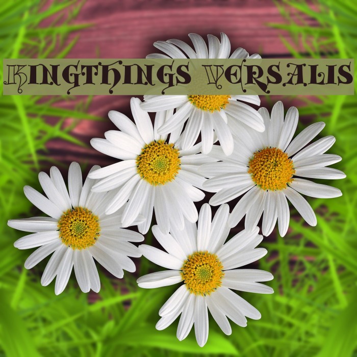 Kingthings Versalis फ़ॉन्ट examples