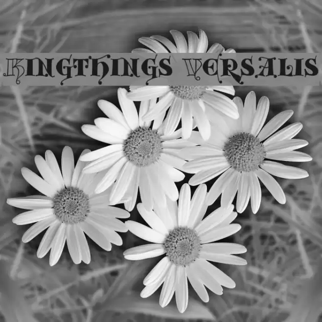 Kingthings Versalis फ़ॉन्ट examples
