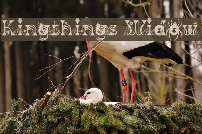 Kingthings Widow Font examples