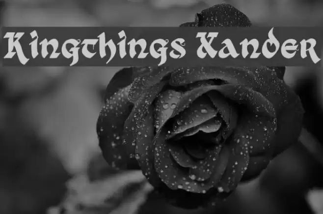 Kingthings Xander フォント examples