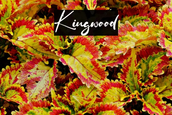 Kingwood Example 2
