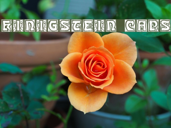 Kinigstein Caps Font examples