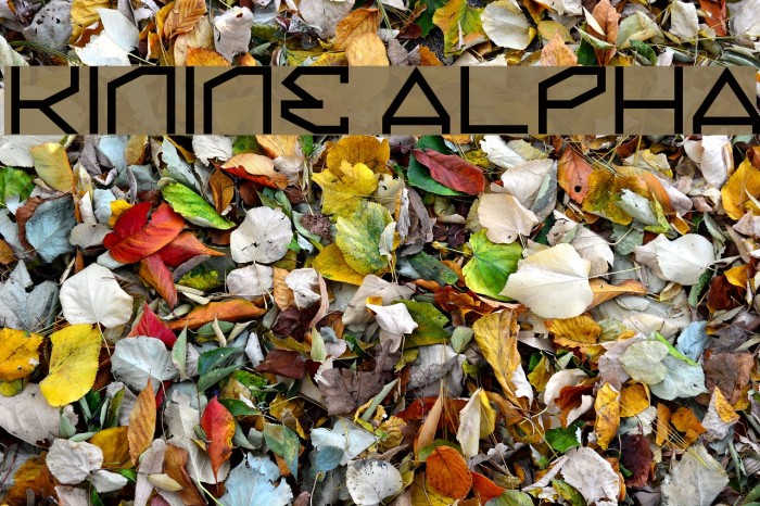Kinine Alpha Font examples