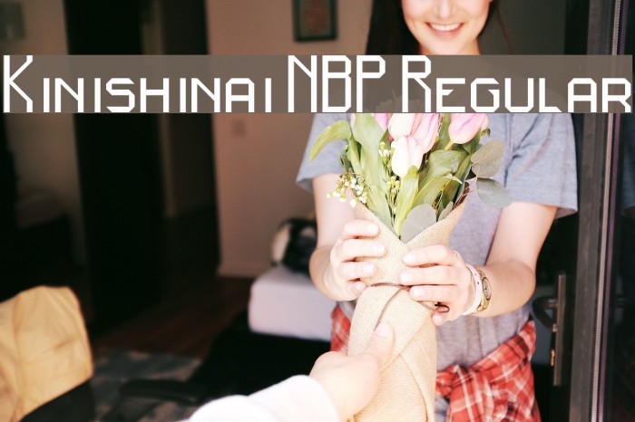 Kinishinai NBP Regular Font examples