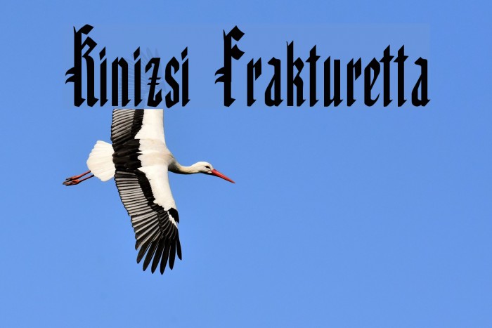 Kinizsi Frakturetta Example 2