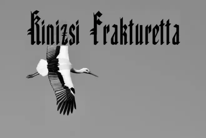 Kinizsi Frakturetta Font examples