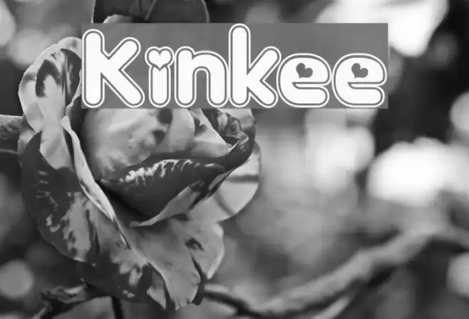 Kinkee Font examples