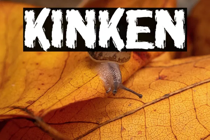 Kinken Example 1
