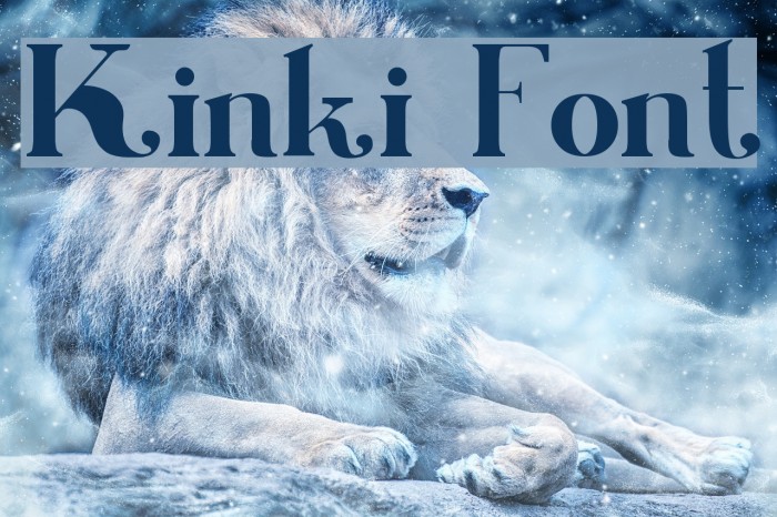 Kinki フォント examples