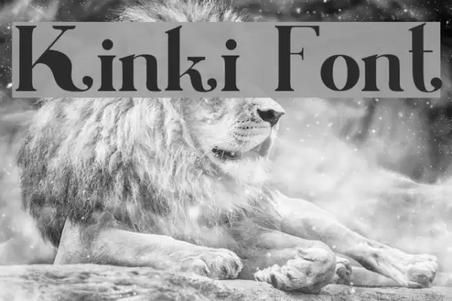 Kinki Font examples
