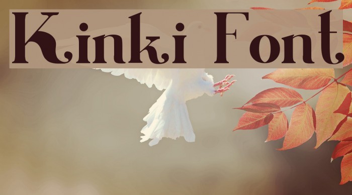 Kinki フォント examples