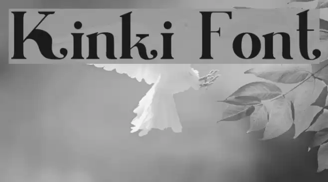 Kinki Font examples