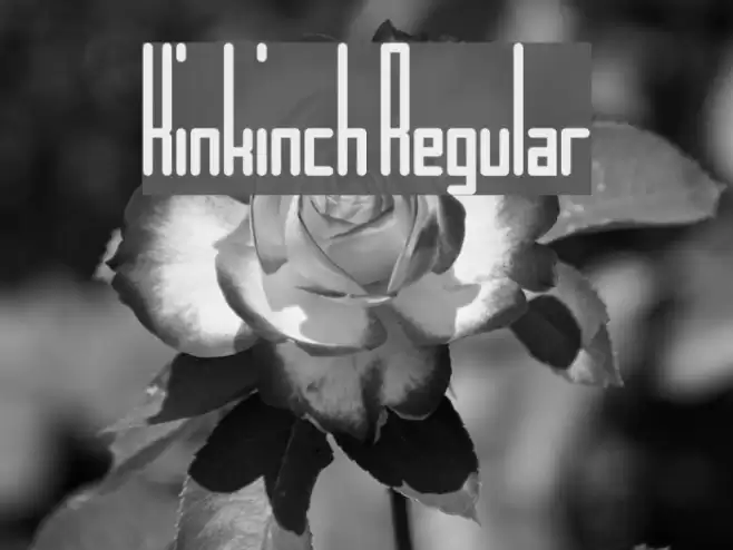 Kinkinch Regular Font examples