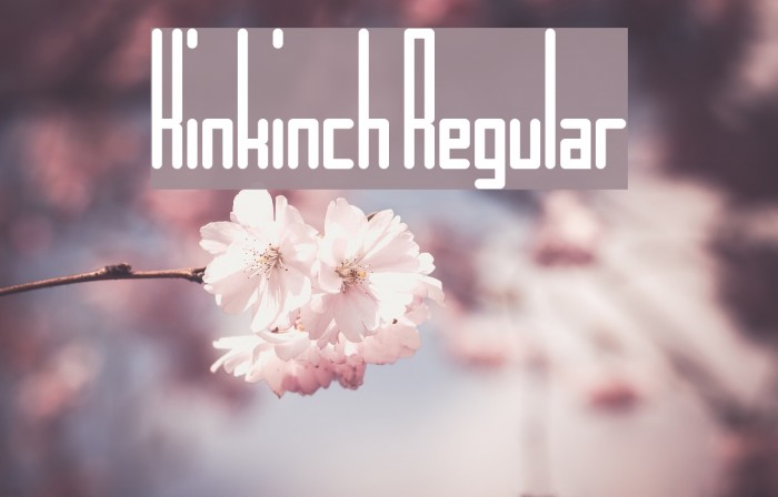 Kinkinch Regular Font examples