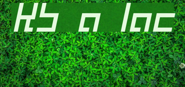 Kinkub flat Italic Font examples