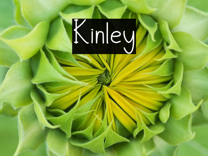 Kinley Example 1