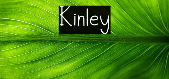 Kinley Example 2