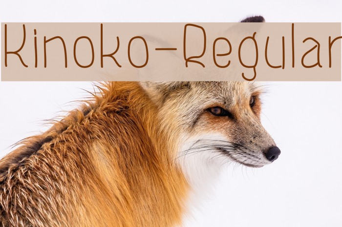 Kinoko-Regular Font examples