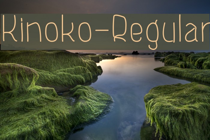 Kinoko-Regular Font examples