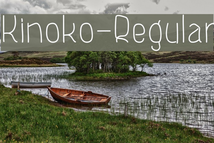 Kinoko-Regular Font examples