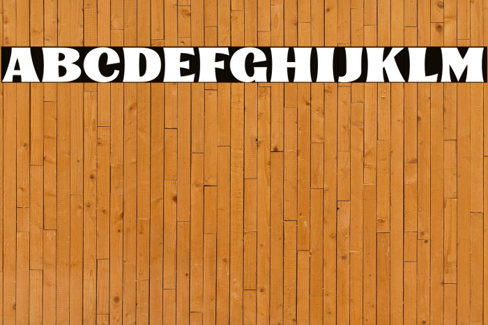 KinsaleDisplay Example 1