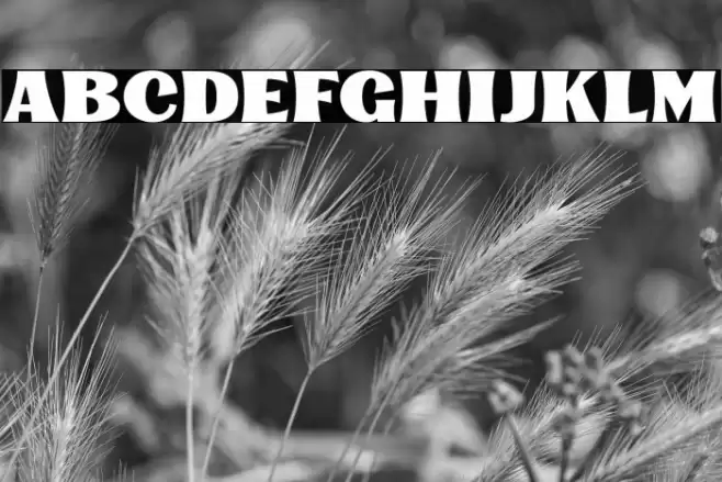 KinsaleDisplay Font examples