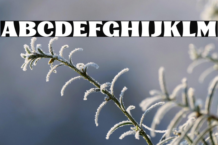 KinsaleDisplay Example 3