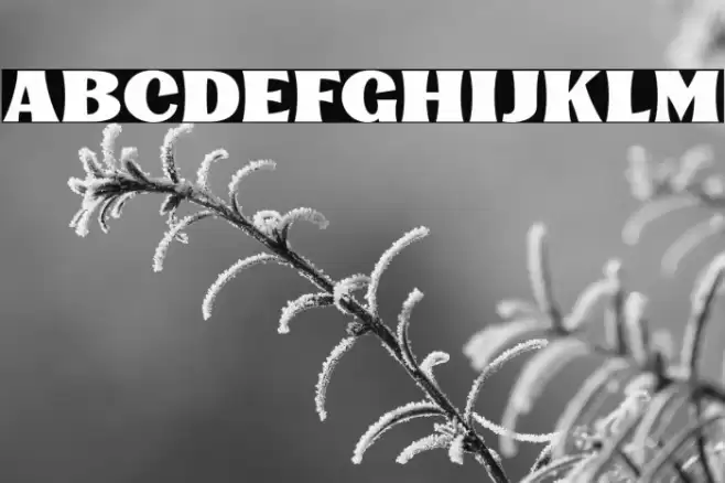 KinsaleDisplay Font examples