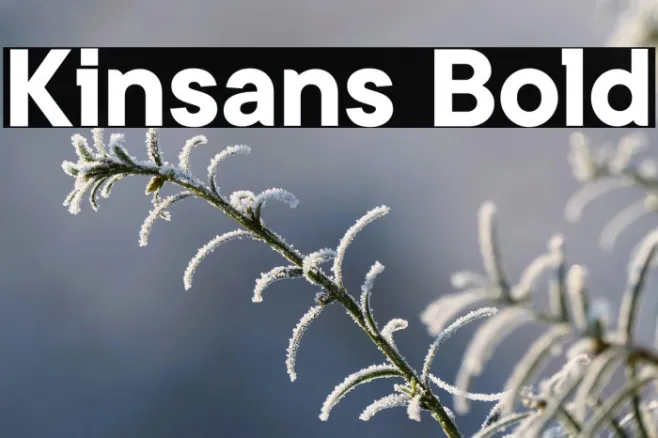 Kinsans Bold Example 1
