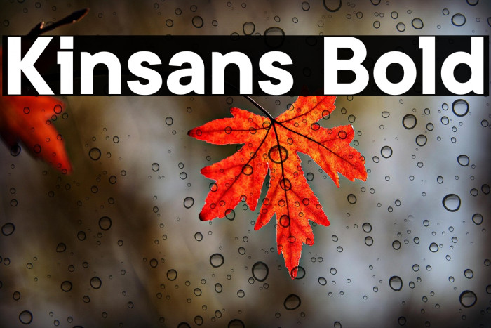 Kinsans Bold Example 3