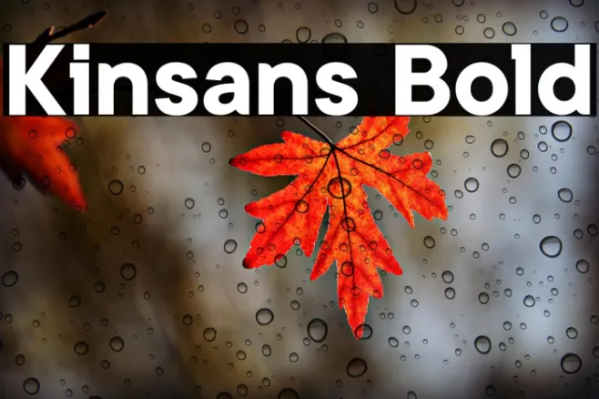 Kinsans Bold Example 3