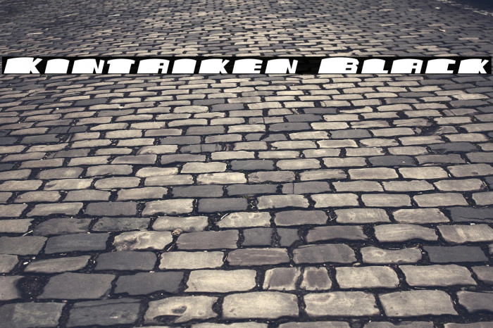 Kintaiken Black Example 1