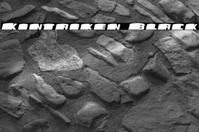 Kintaiken Black Polices examples