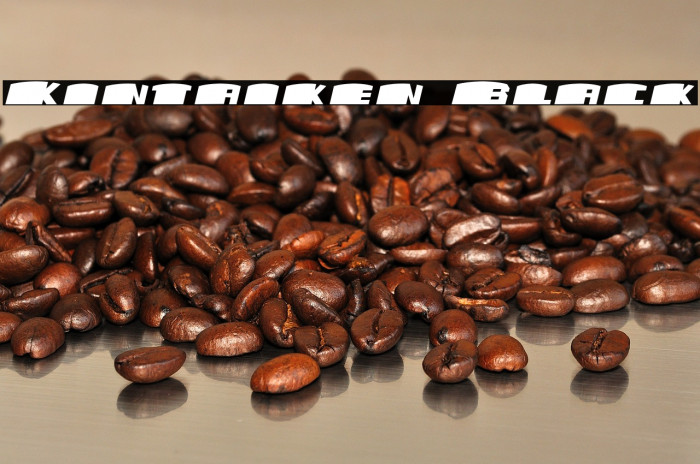 Kintaiken Black Example 3