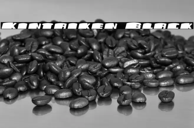 Kintaiken Black Polices examples