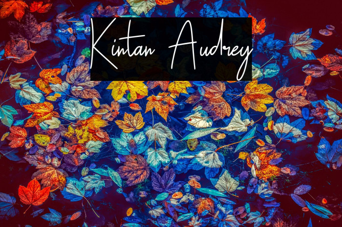 Kintan Audrey Example 1