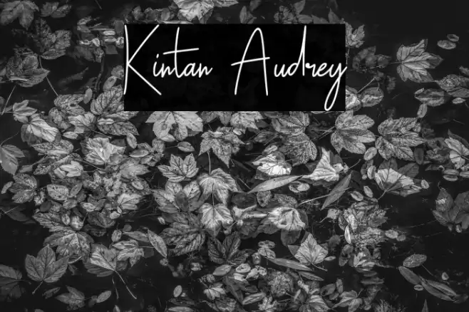 Kintan Audrey Font examples
