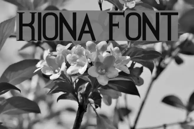 Kiona Font examples