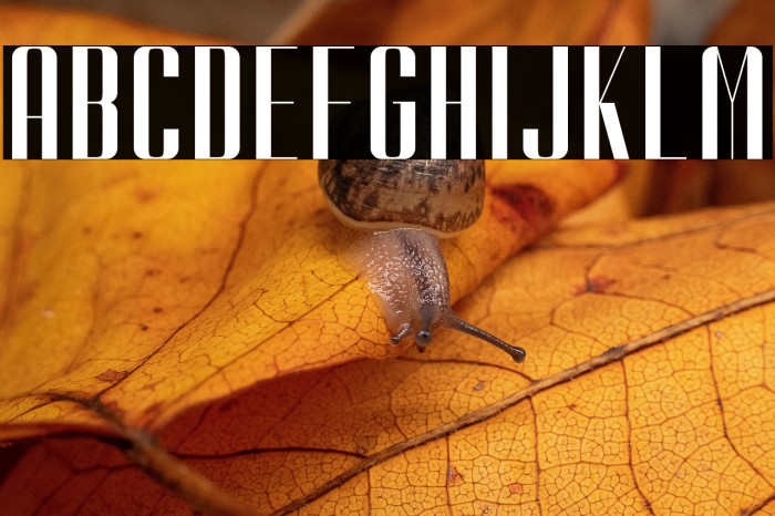 Kionsa Condensed Example 3