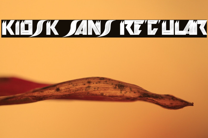 Kiosk Sans Regular Example 2