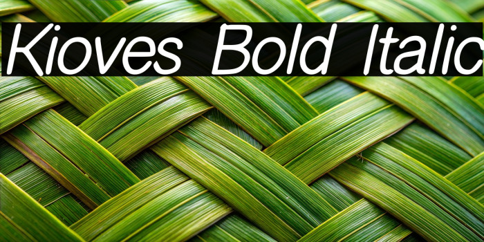 Kioves Bold Italic Example 1